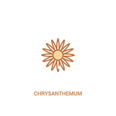 chrysanthemum concept 2 colored icon. simple line element illustration. outline brown chrysanthemum symbol. can be used for web and mobile ui/ux.