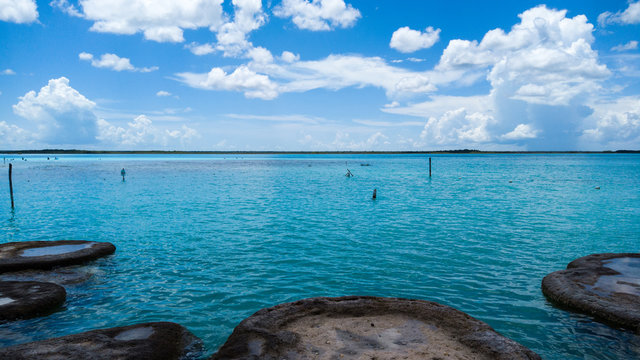 Cocolitos Bacalar