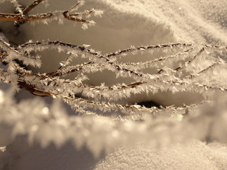 winter wunderland in den alpen