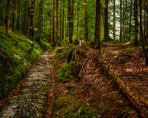 Römerweg bei Klais im Karwendel