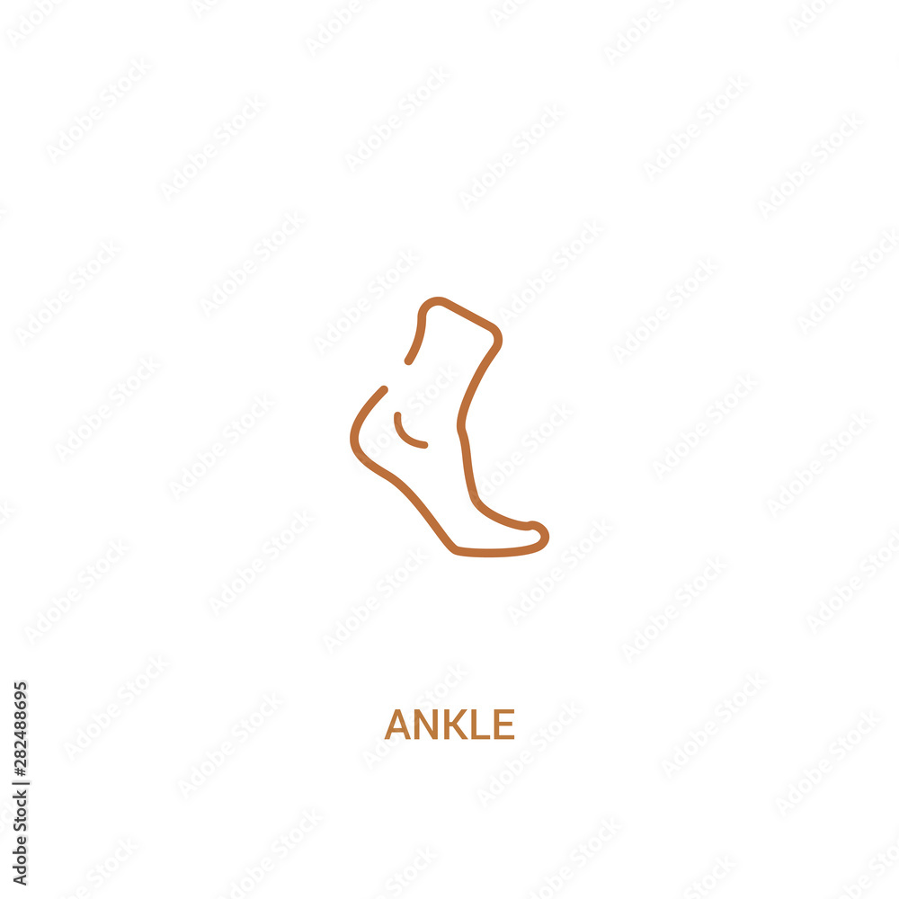 Poster ankle concept 2 colored icon. simple line element illustration. outline brown ankle symbol. can be u