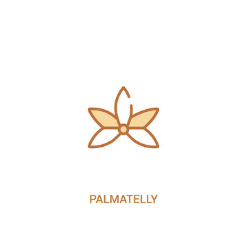 palmatelly concept 2 colored icon. simple line element illustration. outline brown palmatelly symbol. can be used for web and mobile ui/ux.