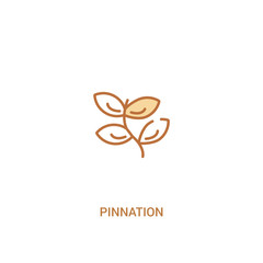 pinnation concept 2 colored icon. simple line element illustration. outline brown pinnation symbol. can be used for web and mobile ui/ux.
