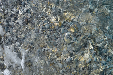 Background water, surface of sea on rocks, close up. Reflection of sun beams in water and shallow soil, shoal of ocean. Top view of coral reef. Coral reef in sea texture, pattern and wallpaper.