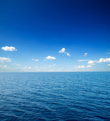 Fototapeta premium sea in Zanzibar beach. Natural tropical water paradise. nature relax. Travel tropical island resort.