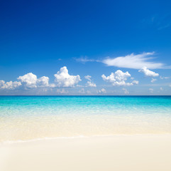 Obraz premium tropical Maldives island with white sandy beach and sea