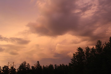 storm clouds and dark trees