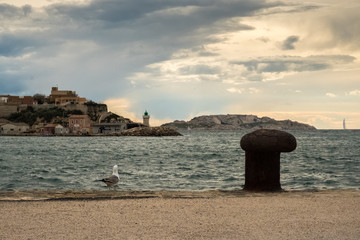 Mouette, ponton et mer