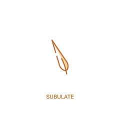 subulate concept 2 colored icon. simple line element illustration. outline brown subulate symbol. can be used for web and mobile ui/ux.
