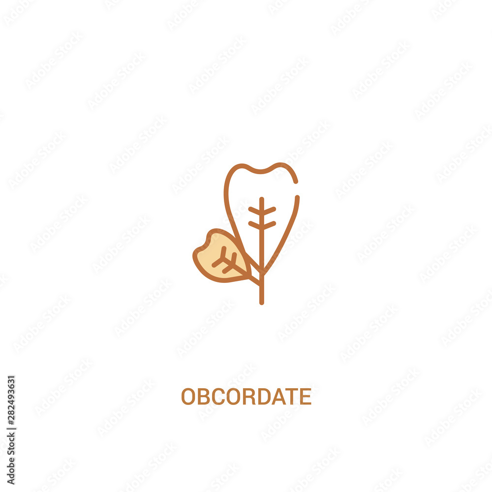 Poster obcordate concept 2 colored icon. simple line element illustration. outline brown obcordate symbol. 