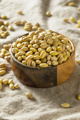 Dry Organic Yellow Mayocoba Beans