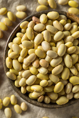 Dry Organic Yellow Mayocoba Beans