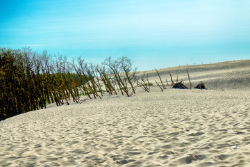 Slowinski National Park is situated on the Baltic Sea coast, near Leba, Poland. Desert landscape...