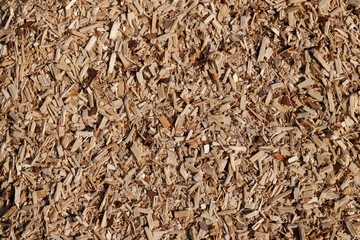 A pile of small sawdust and wood shavings. Abstract textured background for wallpaper in the form...