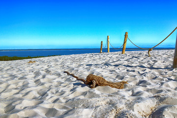 Slowinski National Park is situated on the Baltic Sea coast, near Leba, Poland. Desert landscape...