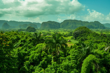 landscape with trees and blue sky, the Vinhales valley, Cuba