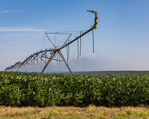 closeup of center pivot irrigation system spraying water on soybean farm field. Hot dry weather and...