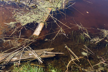 Garbage in water