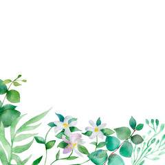 Obraz premium Watercolor hand painted nature composition with green eucalyptus leaves and white blooming bergamot flowers bouquet illustration for invitations and greeting cards