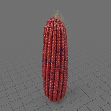 Red corncob 1