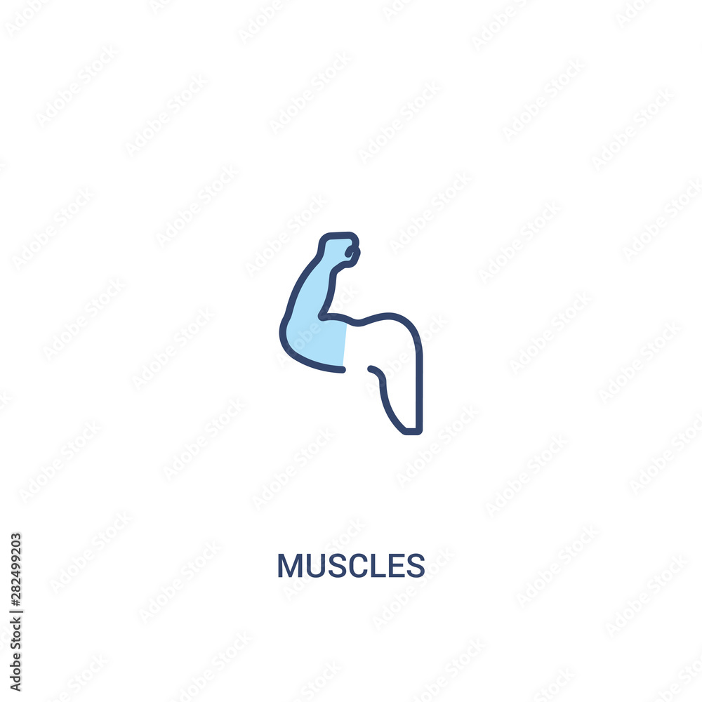 Poster muscles concept 2 colored icon. simple line element illustration. outline blue muscles symbol. can b