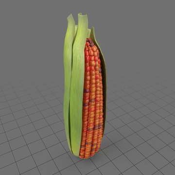 Red corncob with husk 2