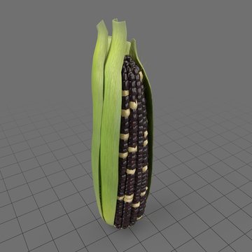 Corncob with husk 1