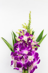 Bouquet purple orchid flower  for pray respect to Buddha isolated on white background
