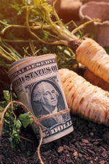 Making profit from organic parsley farming