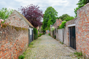 Fototapeta na wymiar street view in the historic small town of Veere, Netherlands