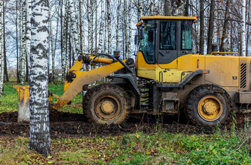 bulldozer paving the way among the trees