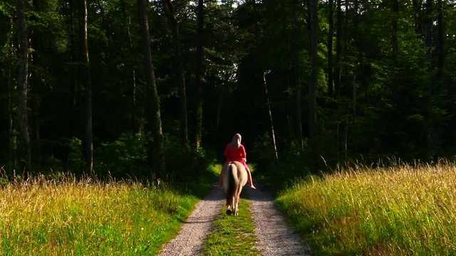 junge blonde Frau im roten Sommerkleid reitet auf Pferd neben einem Feld am Waldrand entlang bei sch&ouml;nem Wetter