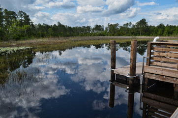 Fishing Pier with Cloud Reflection in Lake and Forest Backdrop Florida
