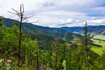 Chike - Taman mountain pass. Altai Republic, Russia