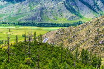 Chike - Taman mountain pass. Altai Republic, Russia