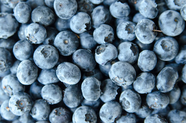 Close up blueberries background