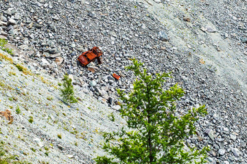 Chike - Taman mountain pass. Altai Republic, Russia