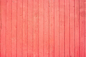 Red painted old and aged wood texture. Red wooden texture for design. Grungy painted wall