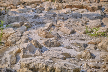 Texture of the rocky ground. Background of gray stones on a warm summer day.