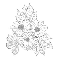 vector drawing flowers