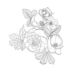 vector drawing flowers