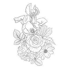 Fototapeta premium vector drawing flowers