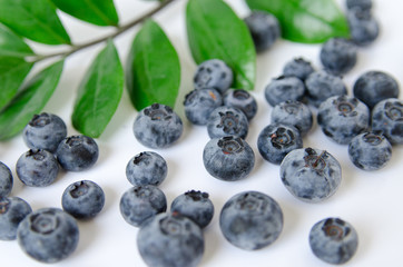 Close up blueberries on white background
