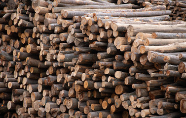 Lumber Log Wood Stock Pile 