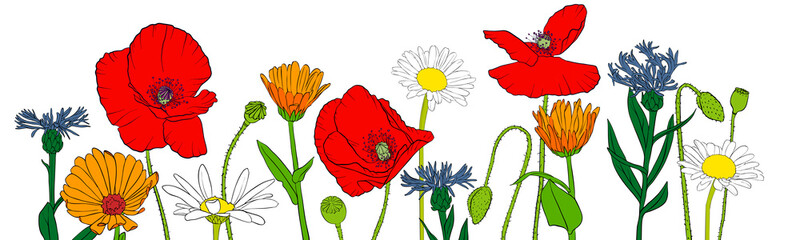 vector drawing flowers