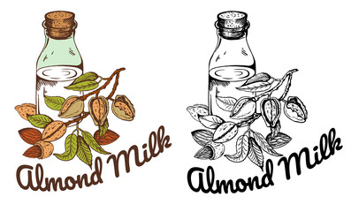 Vector illustration of sketch hand drawn vintage black and white and colorful Almond Milk label. Organic vegan food logo isolated on white background. Line Art