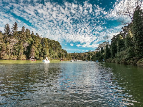 Passeio de pedalinho no Lago Negro no Rio Grande do Sul