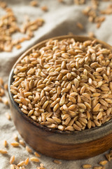 Raw Organic Farro Grain