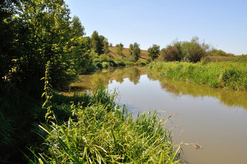 Fototapeta na wymiar river near lush greenery