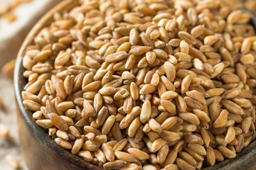 Raw Organic Farro Grain